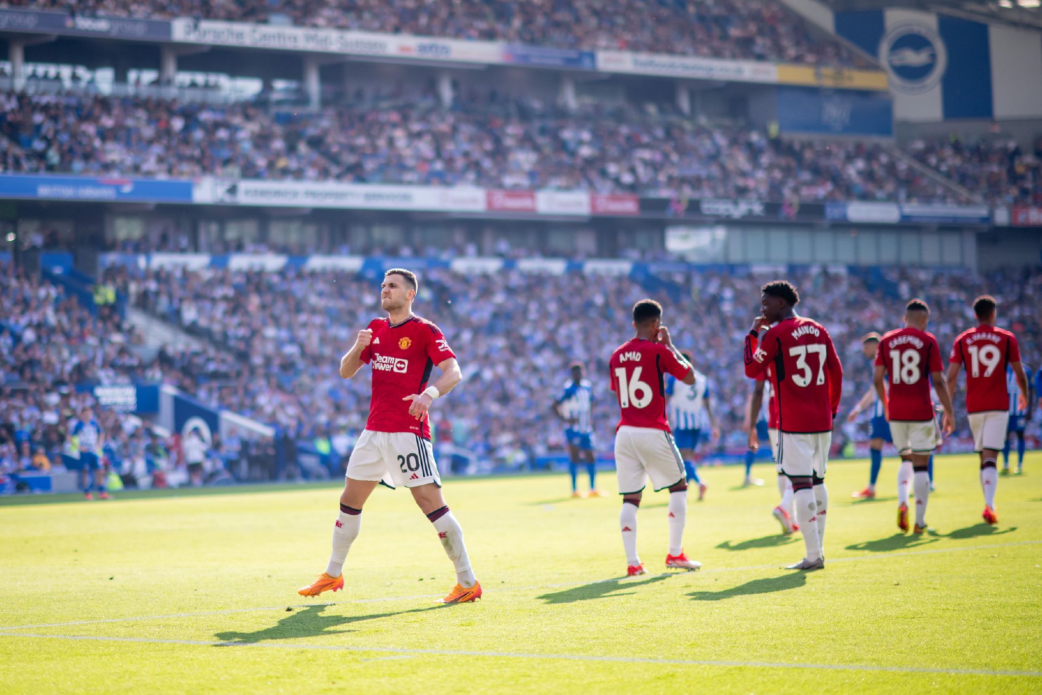 或缺的一员 或缺的一员