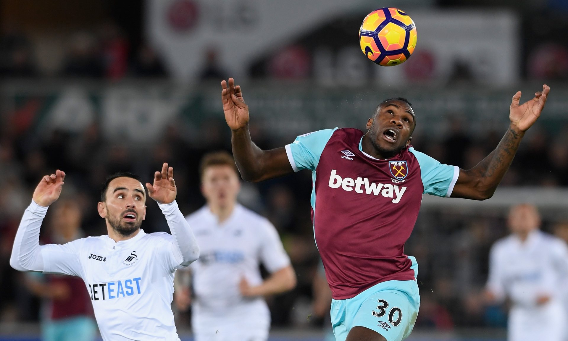 加扑朔迷离 加扑朔迷离